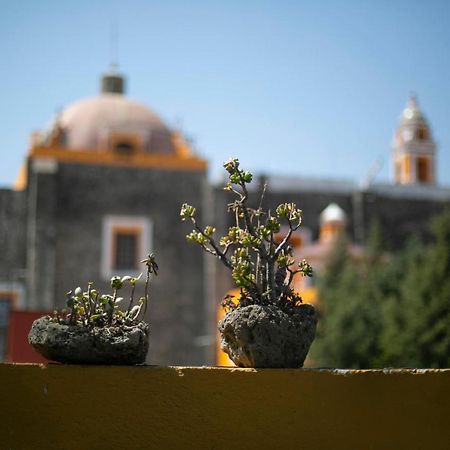 Majikal B&B -Retro Cholula Exterior photo